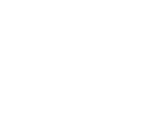 The Loan Buddy 115 shape-3